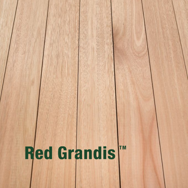 Red Grandis Swatch