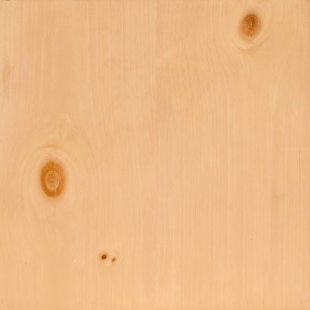 SAP Swatch