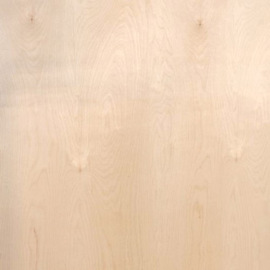 European All Birch