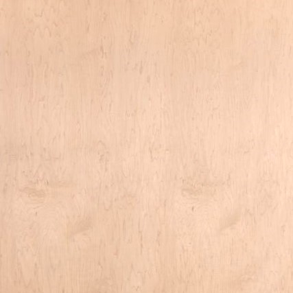 White Maple Swatch