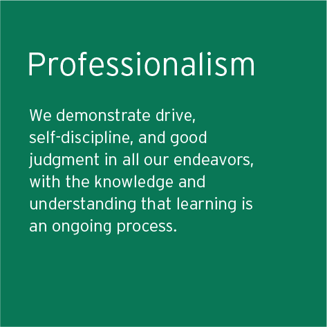 Professionalism